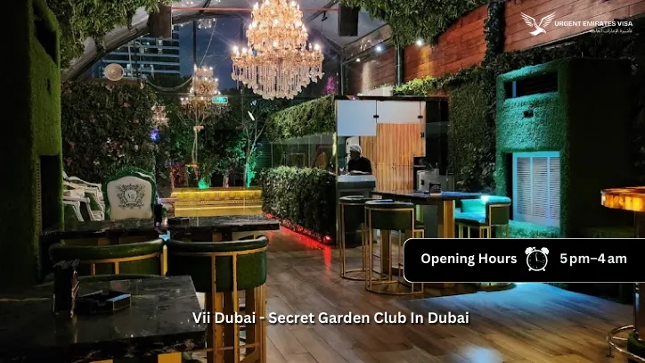 Vii Dubai night Club